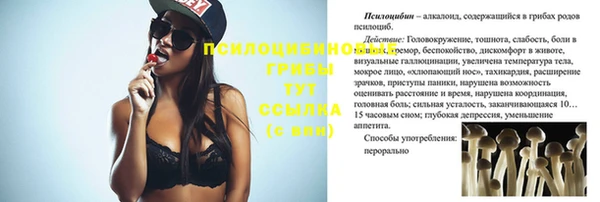 apvp Белокуриха