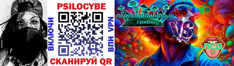 Псилоцибиновые грибы Psilocybe Надым